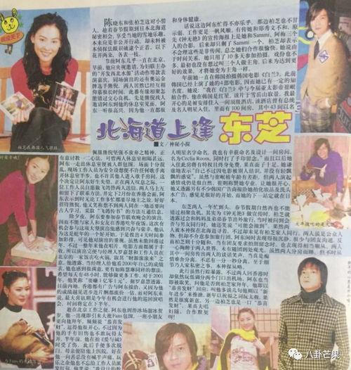 讨论娱乐圈吃瓜的小说,瓜田里的秘密风云录